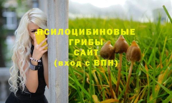 твердый Алексин