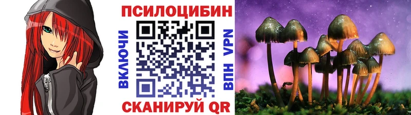 купить наркоту  Кремёнки  Псилоцибиновые грибы Cubensis 